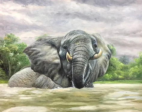 Купающийся слон
