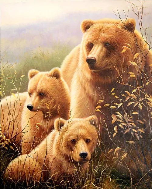 Медвежья семья